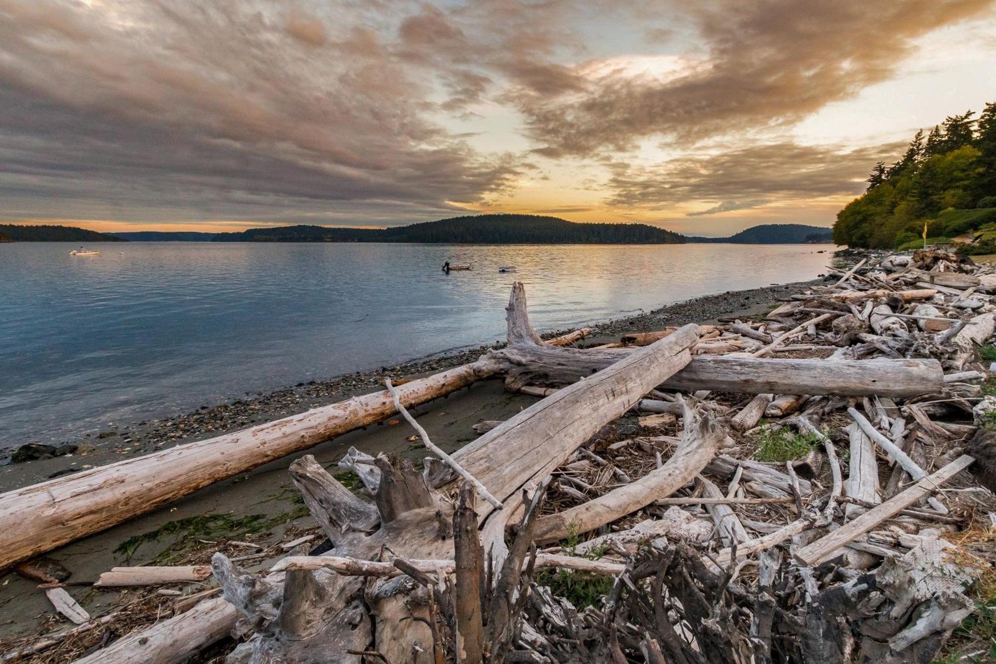 Driftwood Retreat Villa Anacortes Eksteriør billede